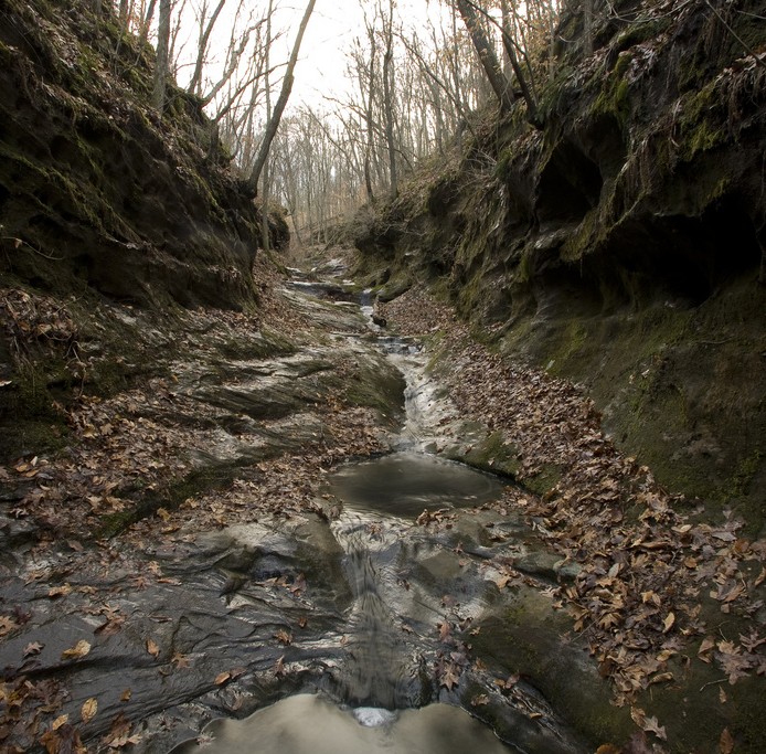 Creek in Shawnee National Forest