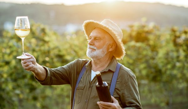 Senior winemaker tasting wine on the vineyard